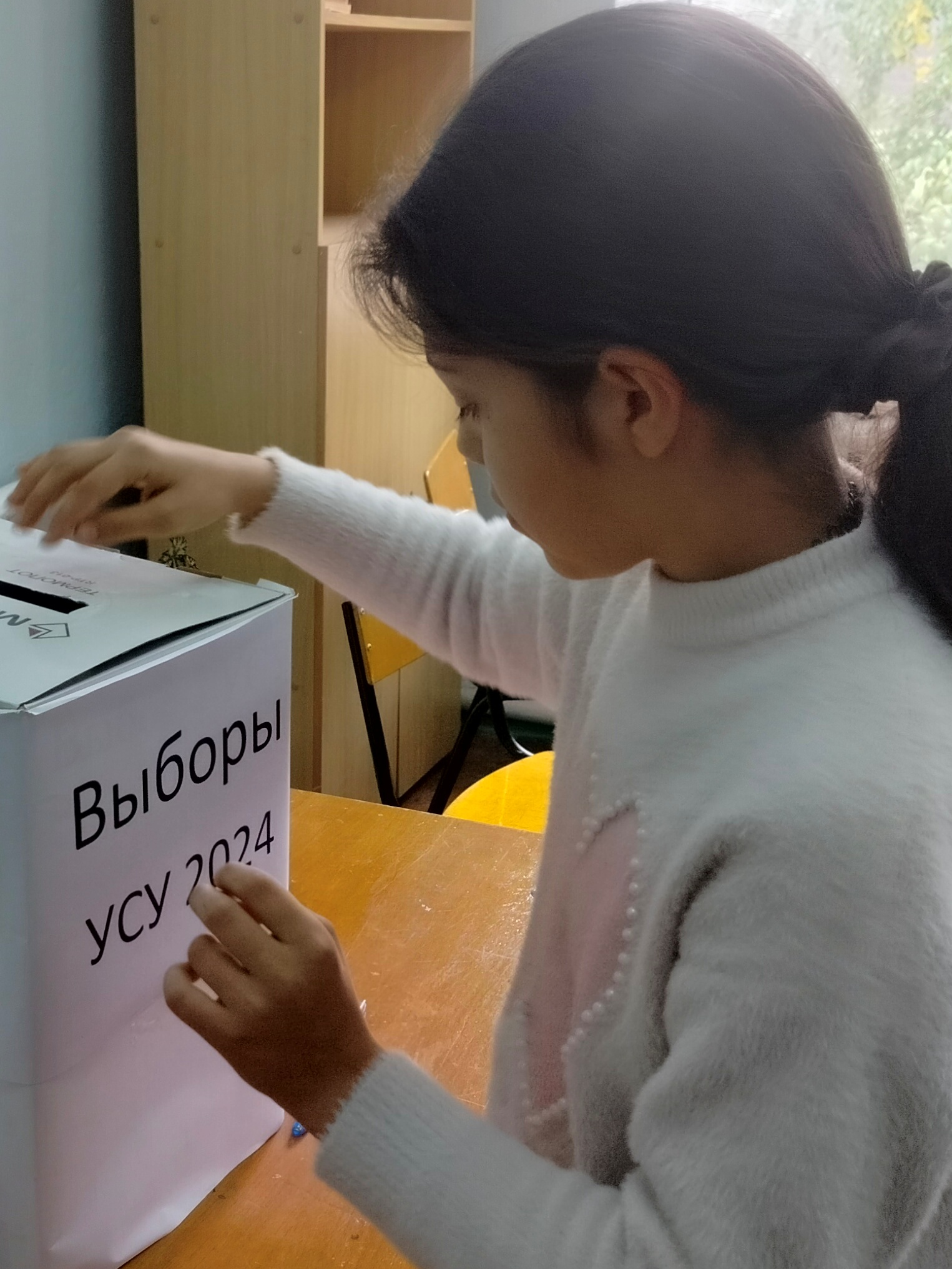 Выборы президента школьной республики.